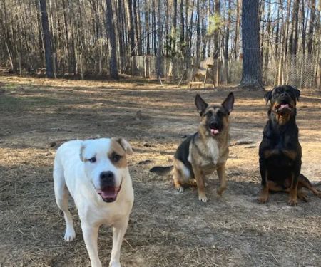 Double Churches Animal Clinic