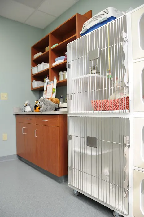 Double Churches Animal Clinic Picture 2