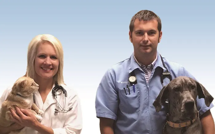 Double Churches Animal Clinic Picture 7