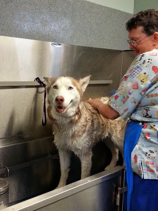 Double Churches Animal Clinic Picture 10