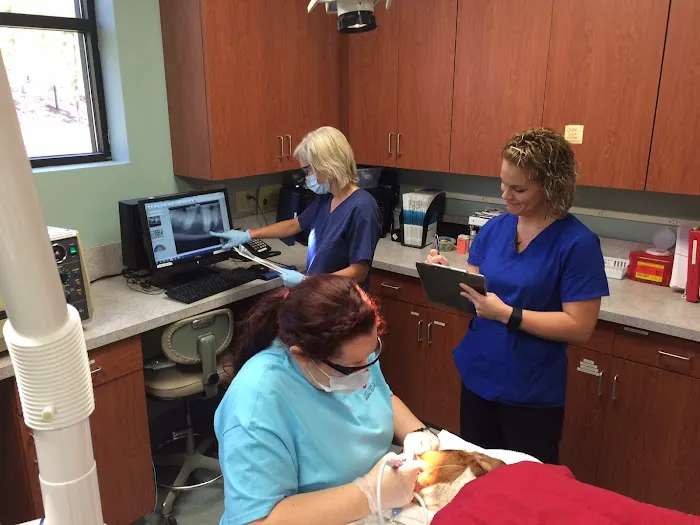 Dr. Shannon Wylie, DVM Picture 2