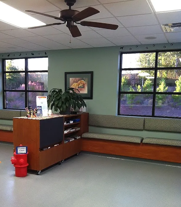 Dr. Shannon Wylie, DVM Picture 1