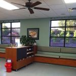 Dr. Shannon Wylie, DVM