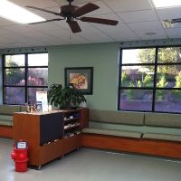 Dr. Shannon Wylie, DVM ico