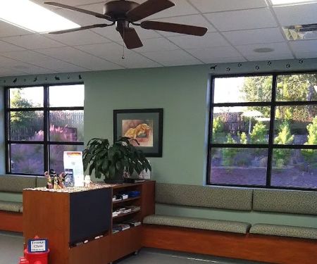 Dr. Shannon Wylie, DVM