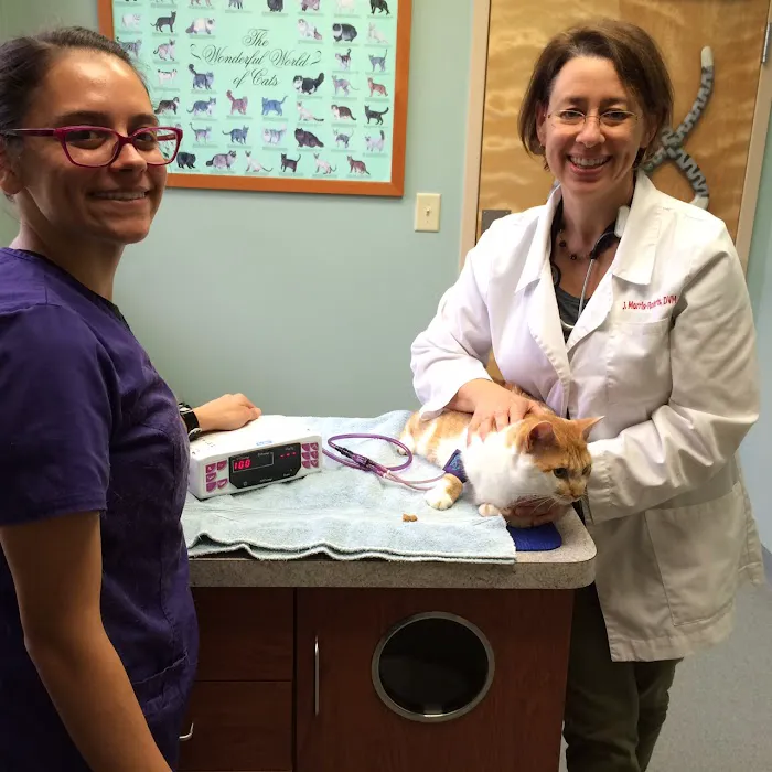 Dr. Shannon Wylie, DVM Picture 4