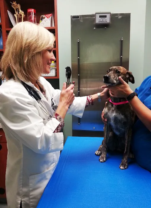 Dr. Shannon Wylie, DVM Picture 3