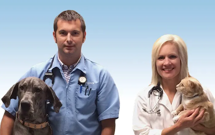 Dr. Shannon Wylie, DVM Picture 9