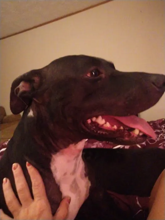 Dr. JoAnn Perrella Picture 1