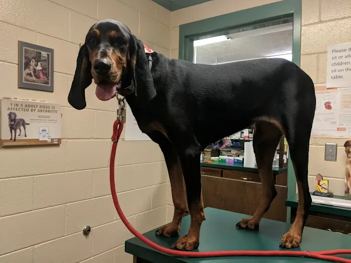 Columbus Veterinary Medical Center Picture 1