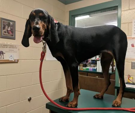 Columbus Veterinary Medical Center