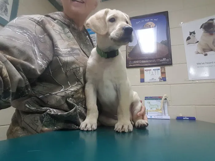 Columbus Veterinary Medical Center Picture 2