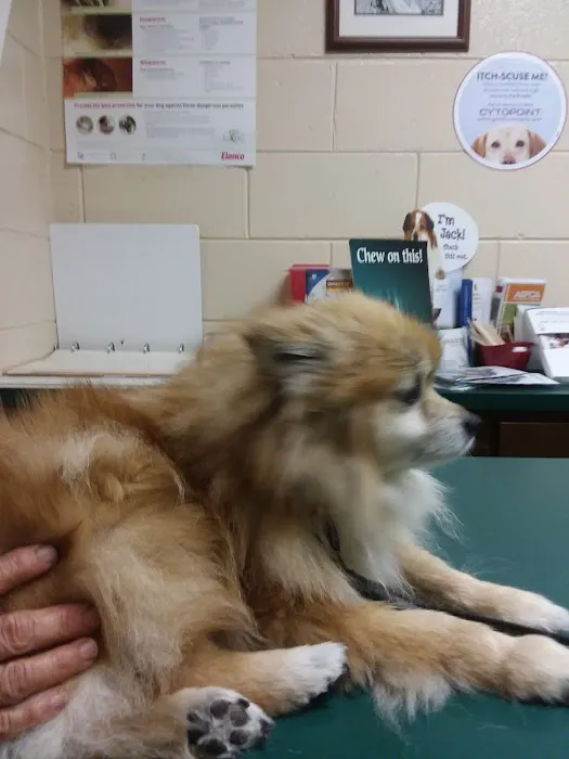 Columbus Veterinary Medical Center Picture 5