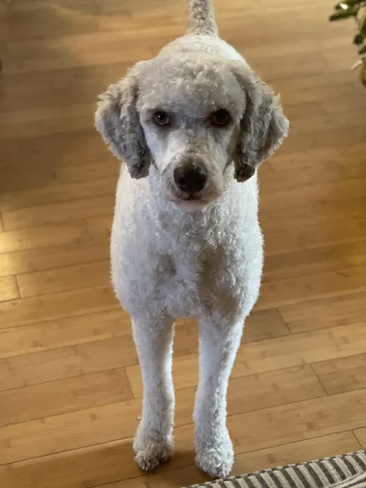 Weems Road Animal Hospital Picture 3