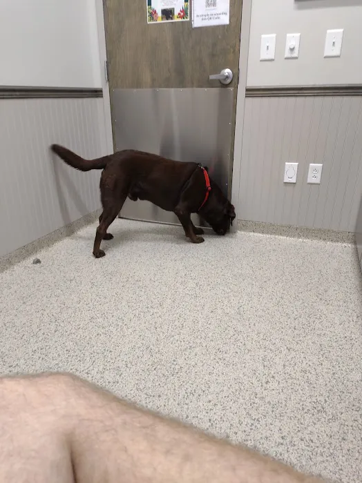 Weems Road Animal Hospital Picture 2