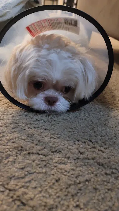 Weems Road Animal Hospital Picture 1