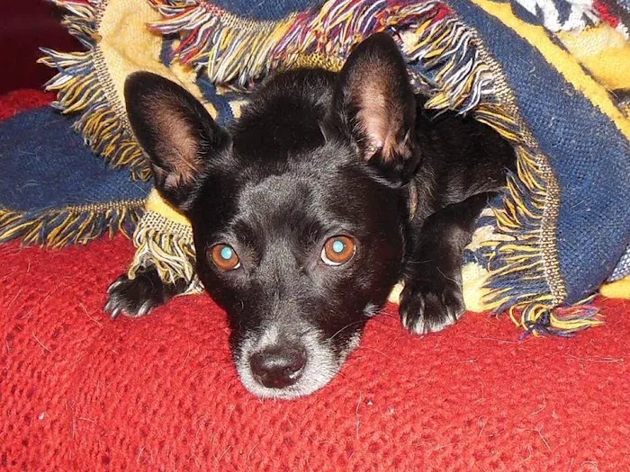 Weems Road Animal Hospital Picture 6