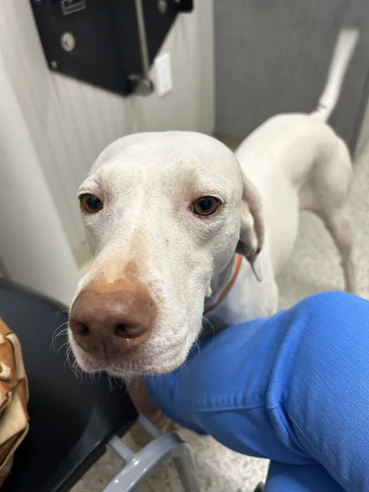 Weems Road Animal Hospital Picture 8