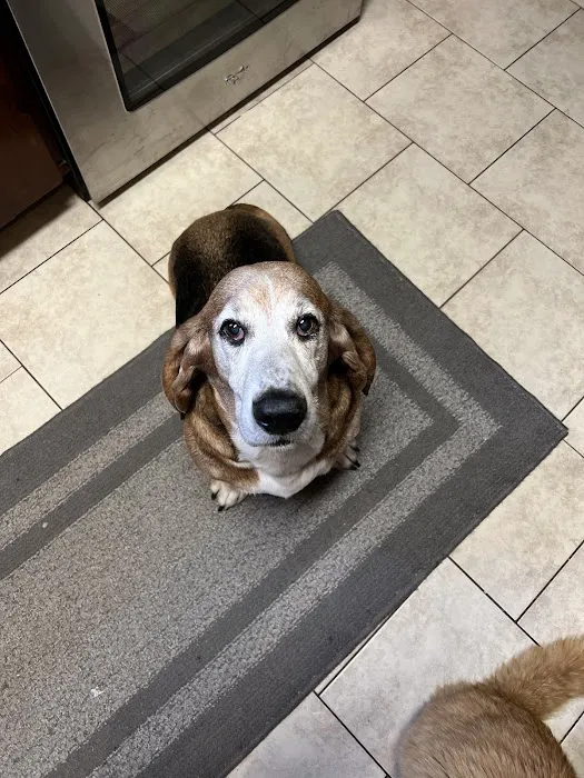 Weems Road Animal Hospital Picture 7