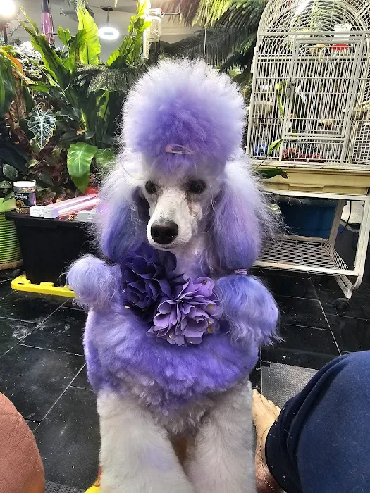 Weems Road Animal Hospital Picture 10