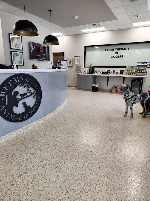 Weems Road Animal Hospital Picture 9