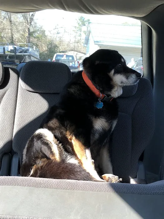 Gateway Veterinary Hospital Picture 1