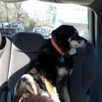 Gateway Veterinary Hospital ico