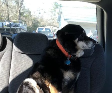 Gateway Veterinary Hospital