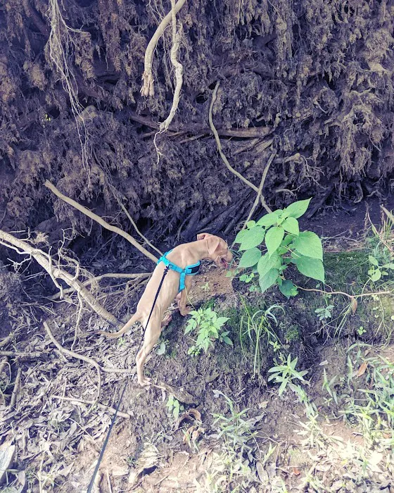 Gateway Veterinary Hospital Picture 8