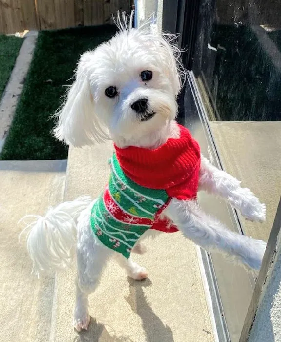 VETsmart Animal Hospital Picture 5