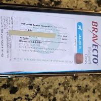 Dr. Brandi Hilton ico