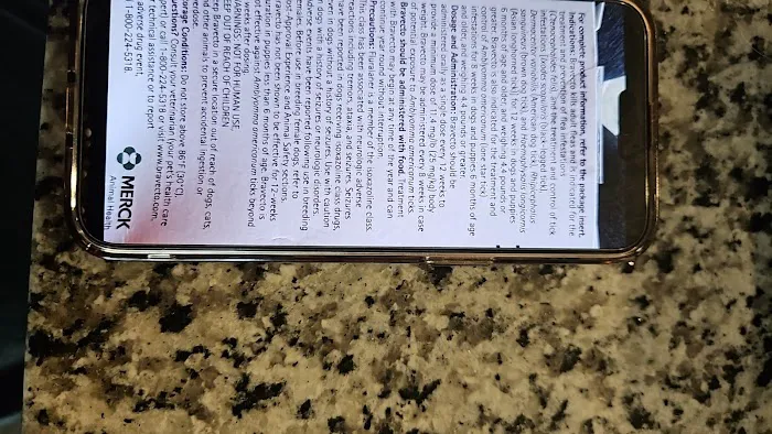 Dr. Brandi Hilton Picture 2