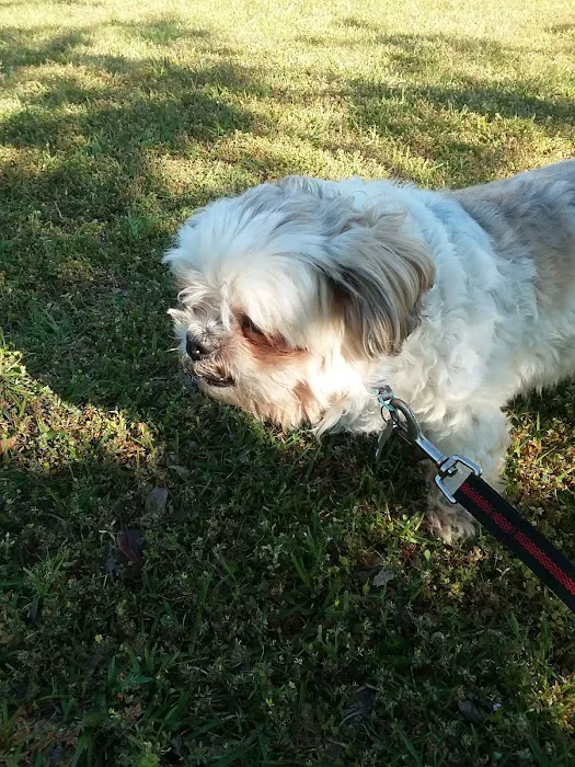 Cox Veterinary Hospital PC Picture 4