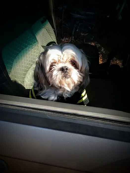 Cox Veterinary Hospital PC Picture 9