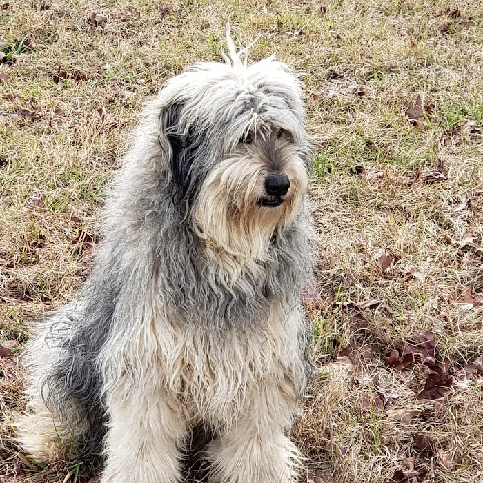 Cox Veterinary Hospital PC Picture 10