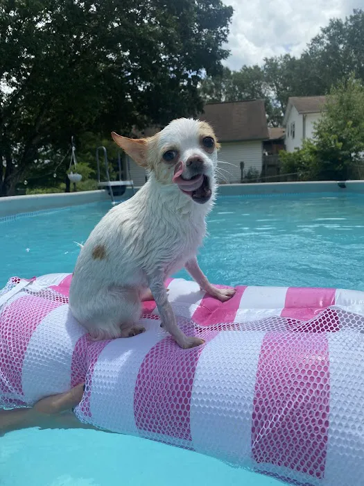 Veterinary Orthopedic and Vision Center Picture 6