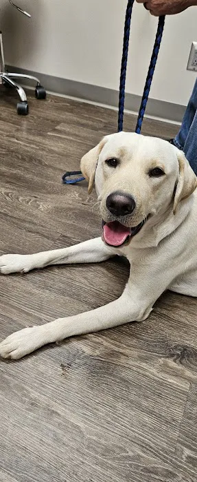 Dr. Jana Korsch-Dismukes Picture 1