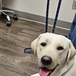 Dr. Jana Korsch-Dismukes