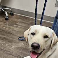 Dr. Jana Korsch-Dismukes ico