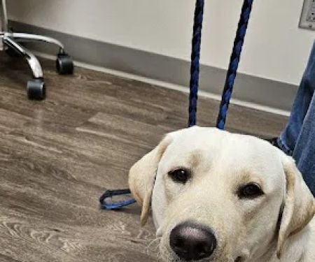 Dr. Jana Korsch-Dismukes