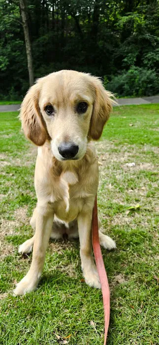 South Shades Crest Animal Clinic Picture 1