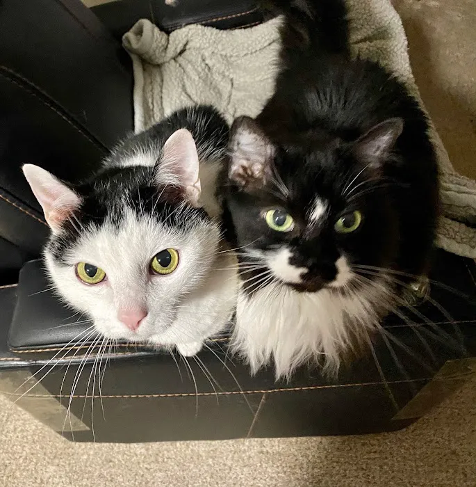 South Shades Crest Animal Clinic Picture 3