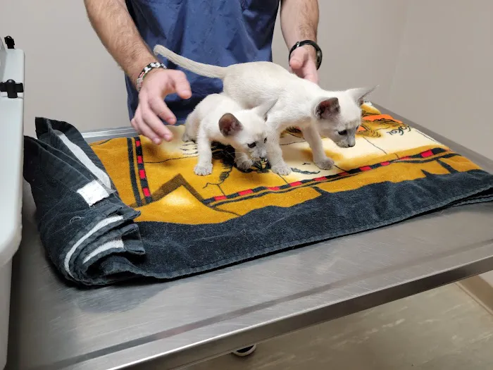 South Shades Crest Animal Clinic Picture 4