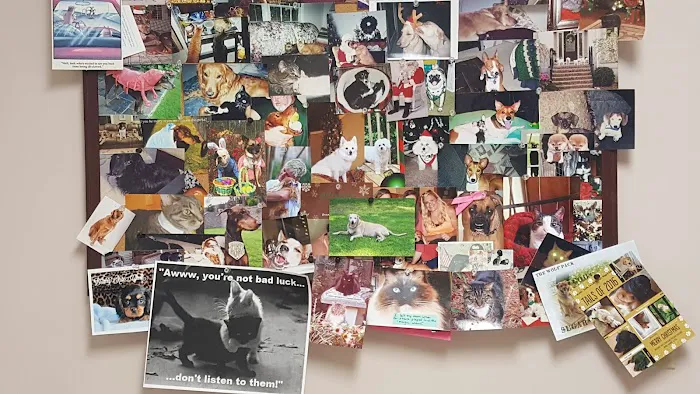 South Shades Crest Animal Clinic Picture 7