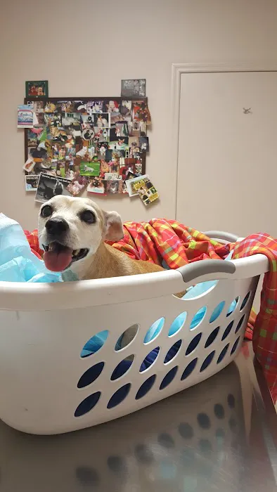 South Shades Crest Animal Clinic Picture 8