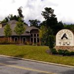 Lake Crest Animal Clinic