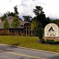 Lake Crest Animal Clinic ico