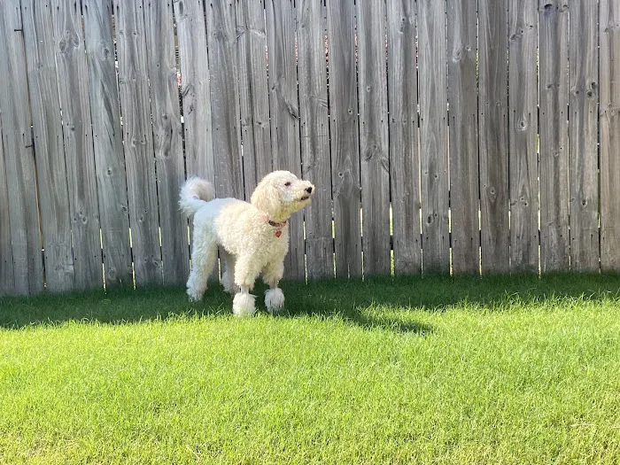 Lake Crest Animal Clinic Picture 7