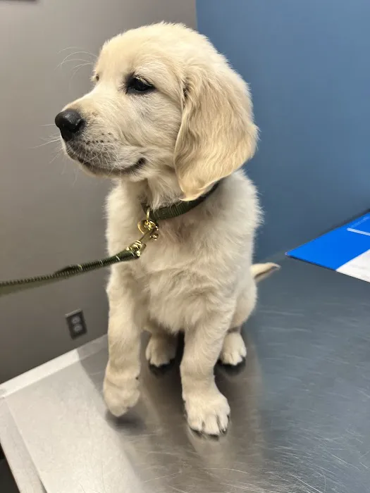 Lake Crest Animal Clinic Picture 8