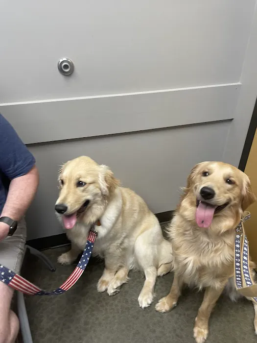 Lake Crest Animal Clinic Picture 5